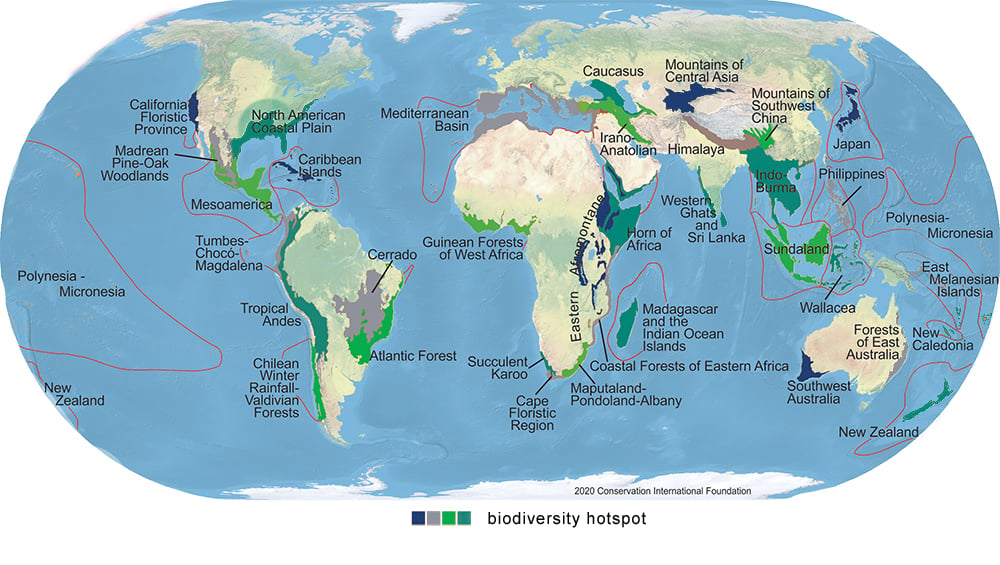 Biodiversity: The Nature Of Investing